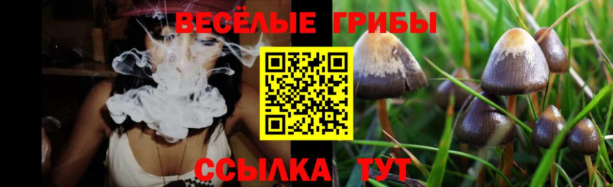 Рузаевка  Псилоцибиновые грибы MAGIC MUSHROOMS  Вход с VPN 